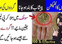 herbal treatment for kidney infection