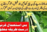 Cucumber benefits for heart health, joints pain,