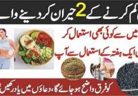 2 Weight Loss Tips No Exercise No Diet Plan