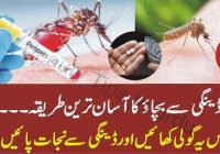 The simplest way to prevent dengue -