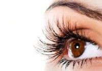 Best Foods to Increase Eyesight and Eye Health