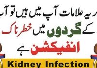 Kidney Infection Symptom, Signs, Causes, Prevention and Treatment