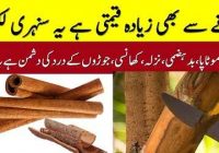 Benefits of Cinnamon for Health