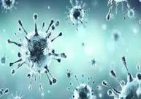 Coronavirus Infection Causes, Symptoms and Treatment