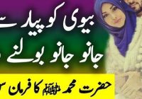 Prophet Muhammad PBUH about nick names of wives (URDU)