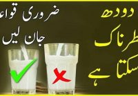 How We Should Drink Milk Which Time Is Best