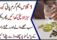 Amazing Health Benefits Of Cardamom