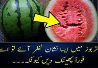 Impressive Health Benefits of Watermelon for Skin, Hair and Kidneys