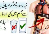 Warm Water Benefits: Drink Warm Water On Empty Stomach What Happens in Body