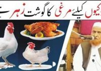 Chicken meat for girls is poison