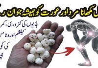 Fox Nuts (Lotus Seeds) Benefits