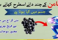 What Happens to Your Body When You Eat Black Plum