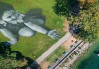 Amazing images that are only visible from a height