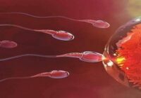 How many sperms should there be for pregnancy
