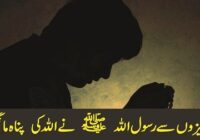 Hadith on Dua: The Prophet seeks refuge from four things