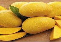 Mango is a cure for many ailments