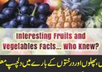 Interesting information about vegetables, fruits and trees