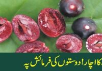 Phalsa pickle At the request of friends