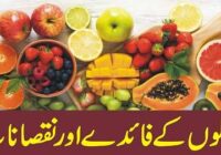 Advantages and disadvantages of fruits