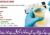 What is the chemical in the urine that makes it unclean