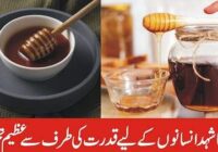 Pure berry honey Benefits For Your Health