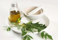 Find out how you can benefit from Neem Tree