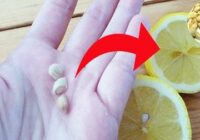 Don't waste lemon seeds