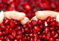One man often bought pomegranates from an old woman