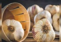 The amazing benefits and uses of garlic that you have never heard of before