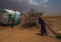 An elderly woman had spent her entire life in the countryside