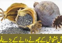 Large benefits of small poppy seeds