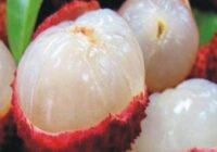 Lychee: Health Benefits And Interesting Recipes