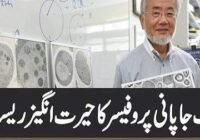 Amazing Research By A Japanese Professor