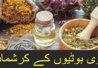 Miracle Herbs & Plants: Herbal Remedies and Recipes