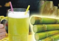 Treatment of jaundice with sugar cane juice