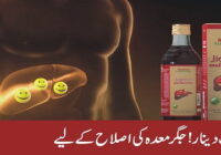 Syrup Dinar - Liver to improve stomach