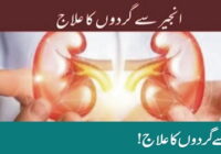 Treatment of kidney with figs