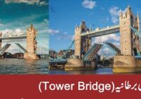 (Tower Bridge)