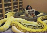 A woman keep a snake