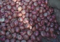 Today, onion has also become Rs 300 per kg in Pakistan