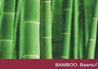 Benefits of bamboo BAMBOO. Baans