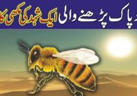 The of bees talking to the Holy Prophet (peace be upon him)