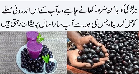 Black Plum Jamun Health Benefits