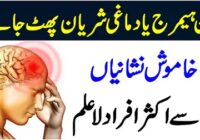 Brain Bleed Symptoms and Causes
