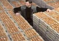 An Argentinian went to buy a "carton of eggs"