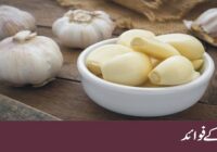 Benefits of garlic