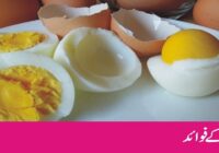 Eggs are the easiest, cheapest and most versatile source of protein