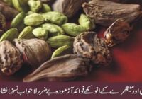 Health Benefits Of Cardamom Backed By Science