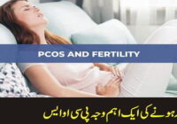 PCOS is a major cause of infertility