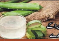 Read this Article first to know the Benefits of Aloe Vera juice